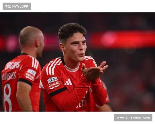 本菲卡球迷向场内投掷打火机和水瓶，楚阿梅尼捡起交裁判